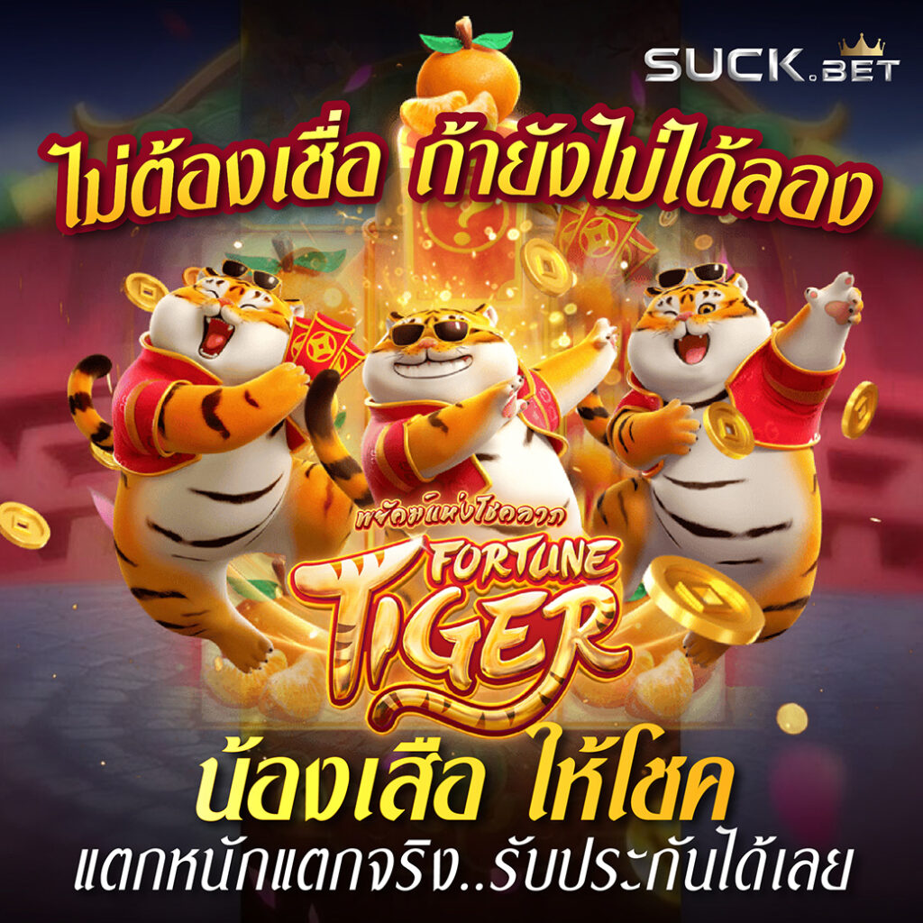 pg888th Tiger Fortune เล่นได้เพื่ออนาคตที่ดี